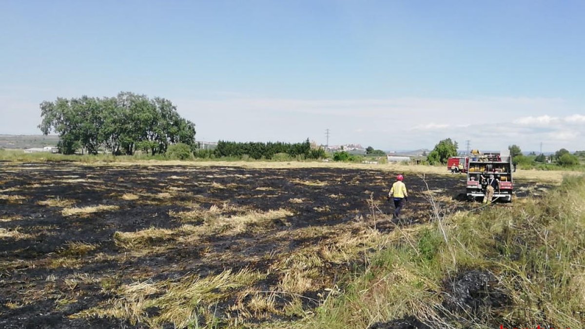 Incendio en la zona de la Devesa de Juneda