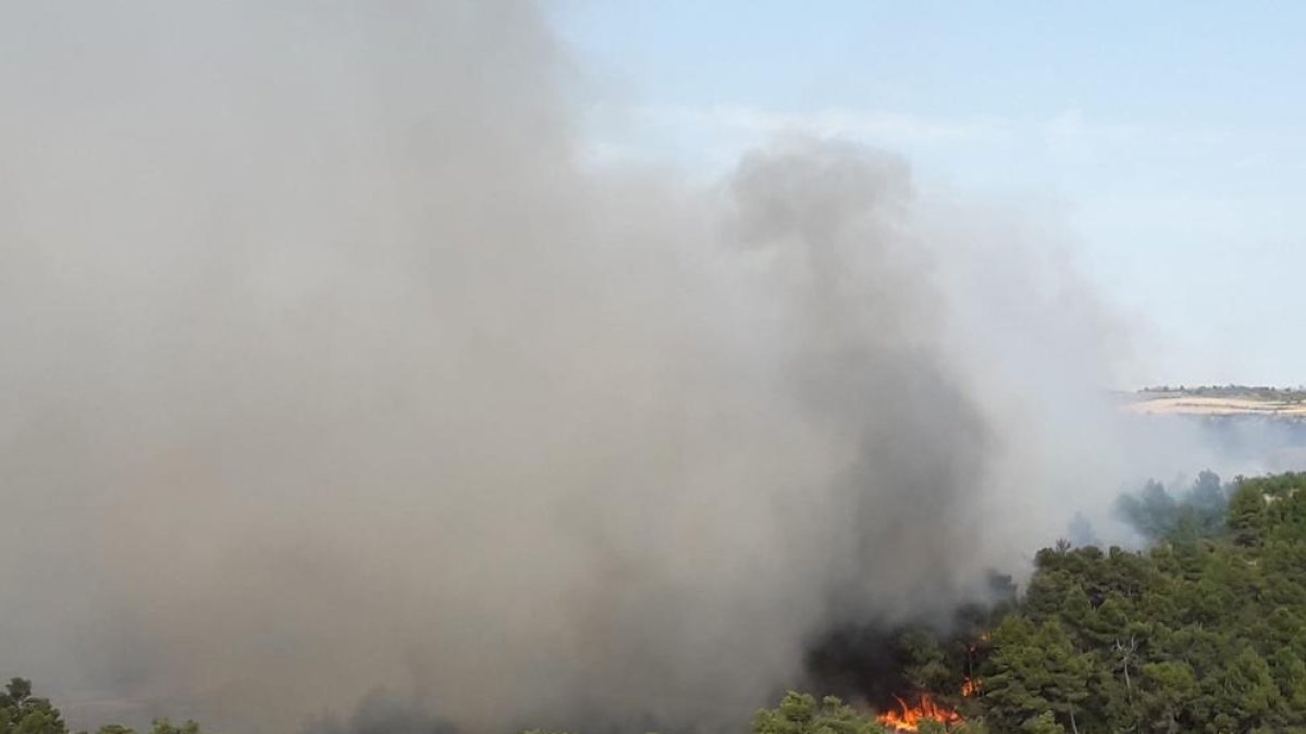 Un incendi crema deu hectàrees de vegetació agrícola i forestal entre Nalec i Rocafort