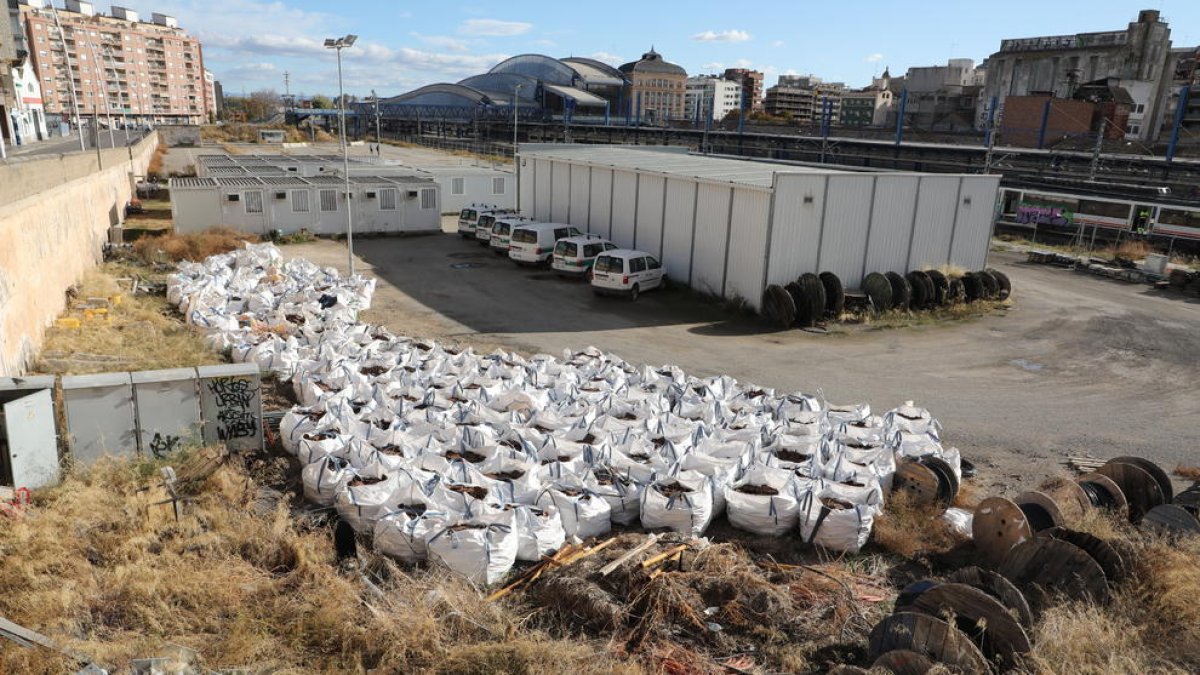 Malas hierbas y basura junto a la pasarela.
