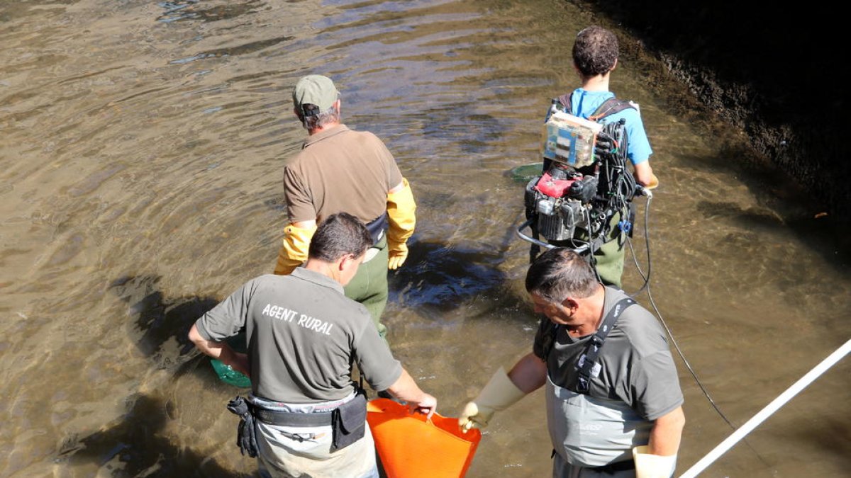 Imagen de los trabajos en el canal de La Pobla de Segur.