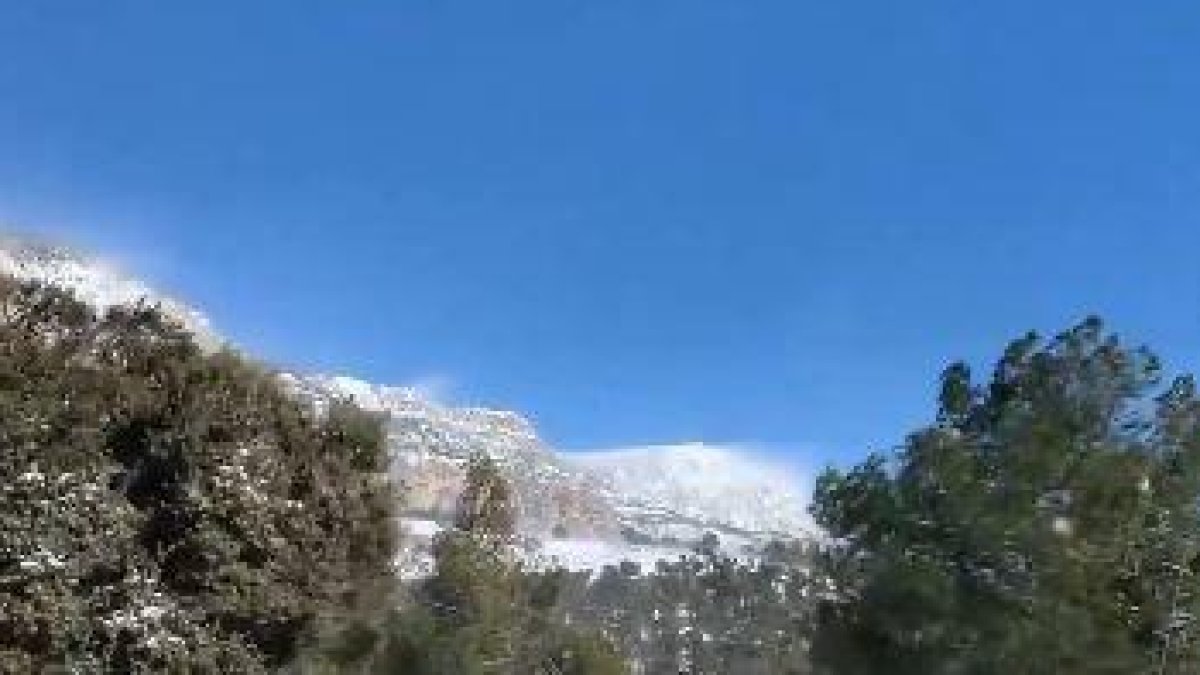 VÍDEOS. Imatges del torb al Pirineu
