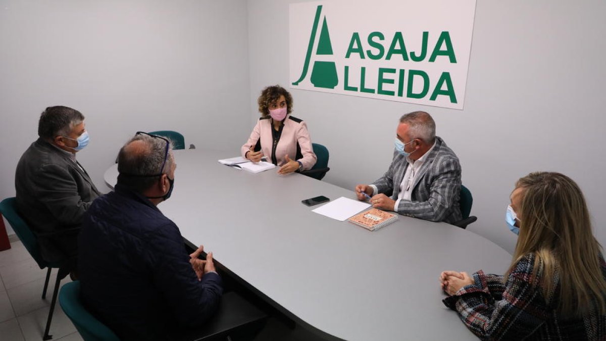 Un moment de la reunió, ahir, a la seu d’Asaja a Lleida.