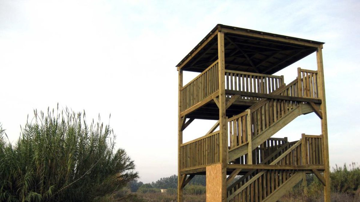 El nou observatori d’aus dels aiguamolls de Rufea.