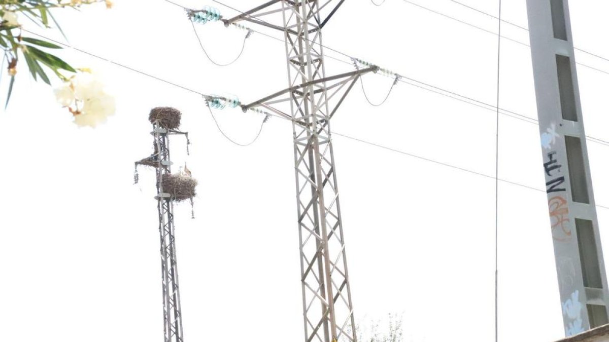 El joven ha muerto en la torre eléctrica situada detrás del edificio de Mercolleida, en Pardinyes.
