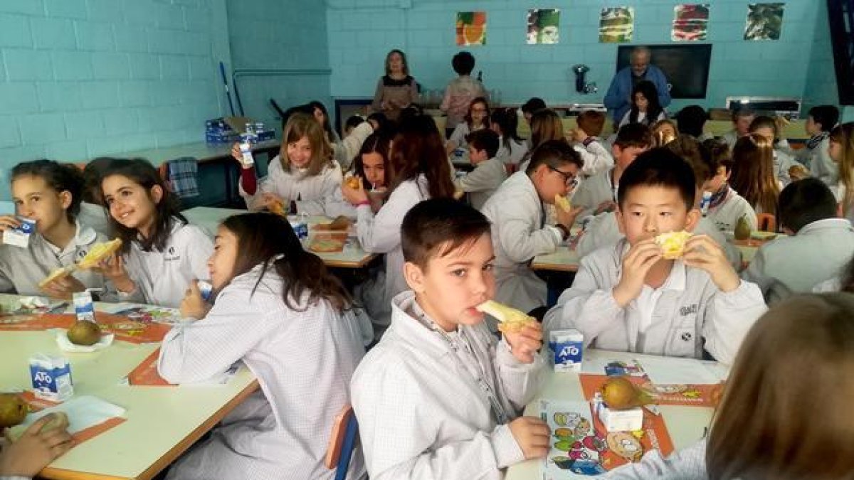 La Paeria ensenya hàbits saludables per esmorzar en 19 escoles de Lleida
