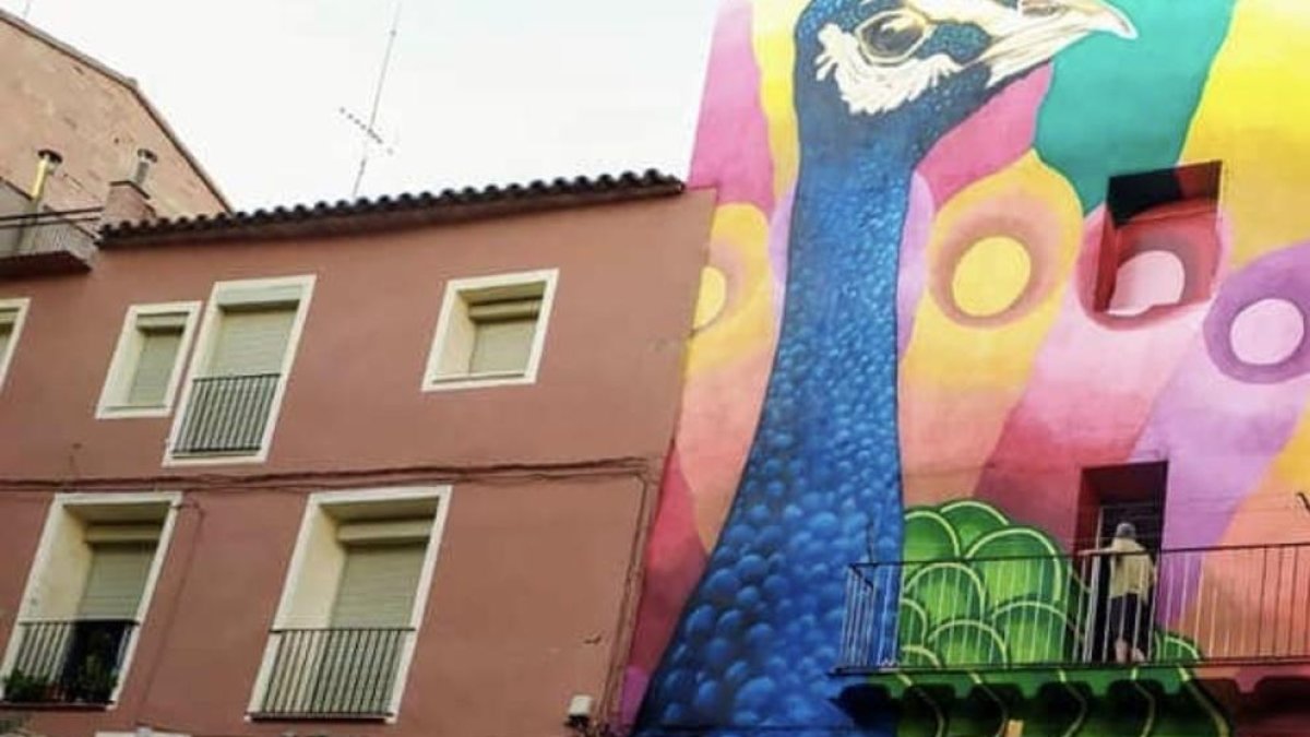 Una de las visitas que se han llevado a cabo en el centro de Fraga.