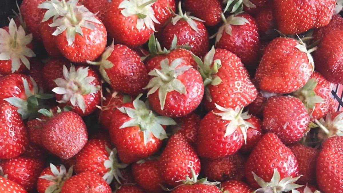 Capitol 11 - Fruites Vermelles