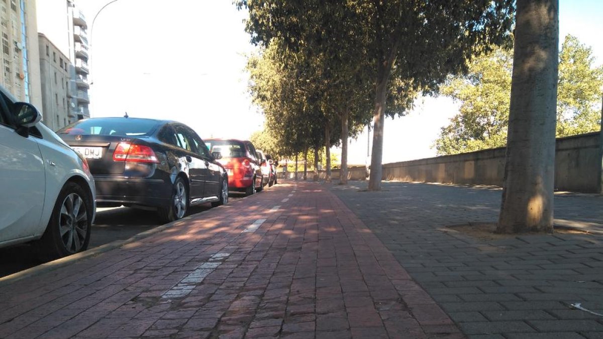 Detalle del estado del firme en un punto del carril bici de la avenida del Segre.