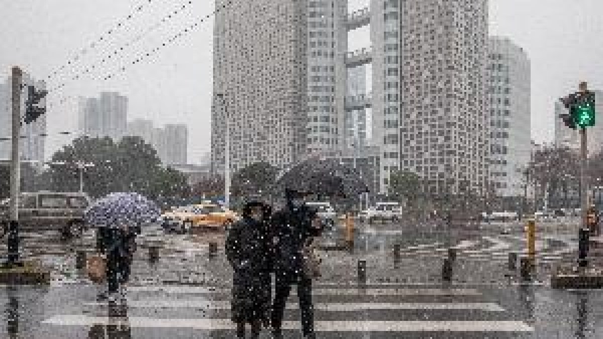 El mercado de Wuhan donde surgió la covid intenta pasar página un año después