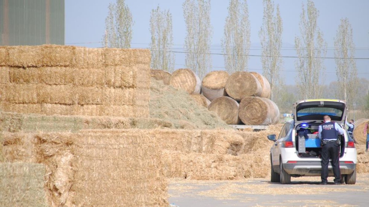 Els Mossos, ahir al lloc de l’accident.