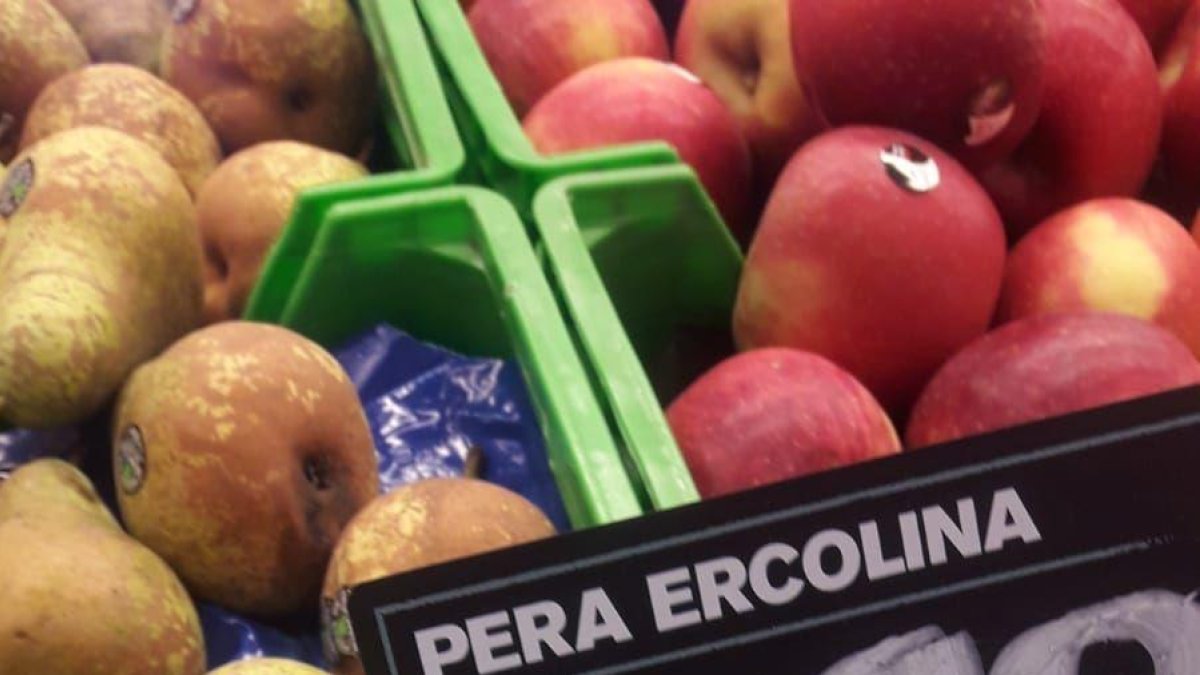 Imagen de las peras Ercolini atribuidas al Segrià.