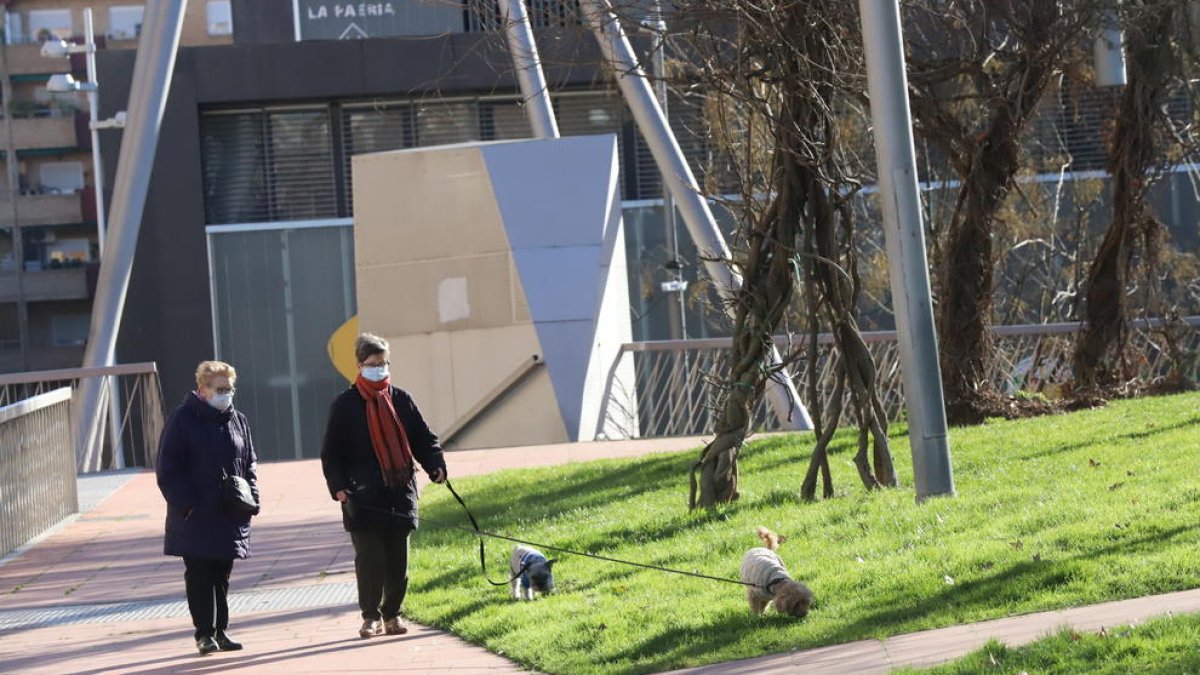 Una mujer paseando con dos perros por la plaza Blas Infante el pasado martes.