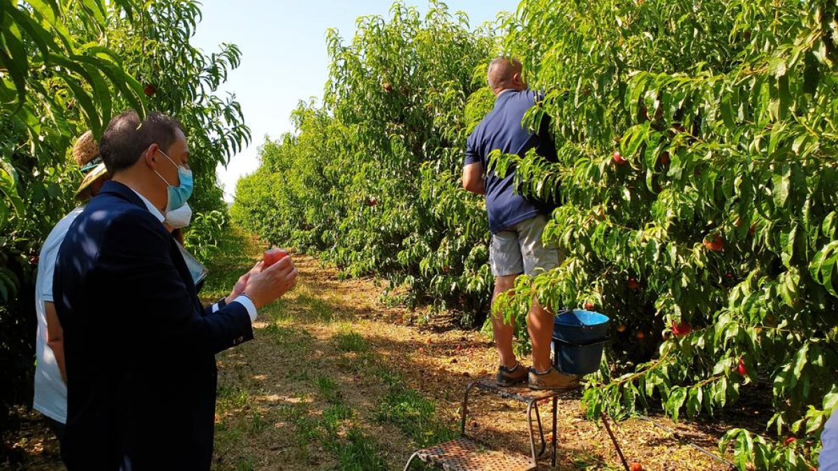 Crespín visitó fincas afectadas por el granizo del pasado día 16.