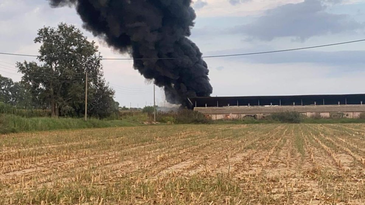 Imatge de la densa i negra columna de fum, que podia veure’s a quilòmetres de distància.