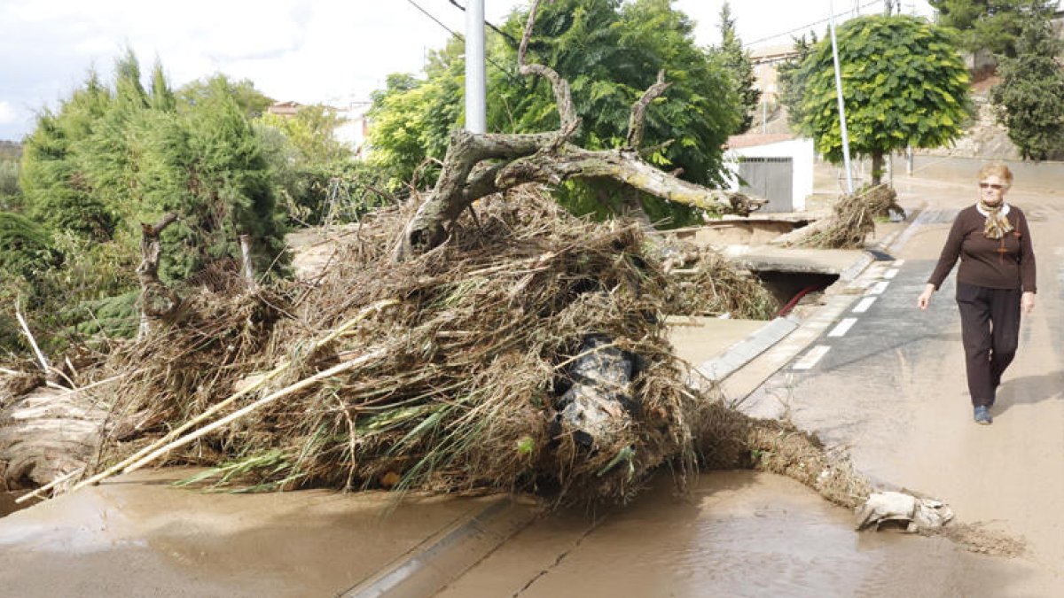 El torrent de la Femosa es va desbordar per la Floresta.
