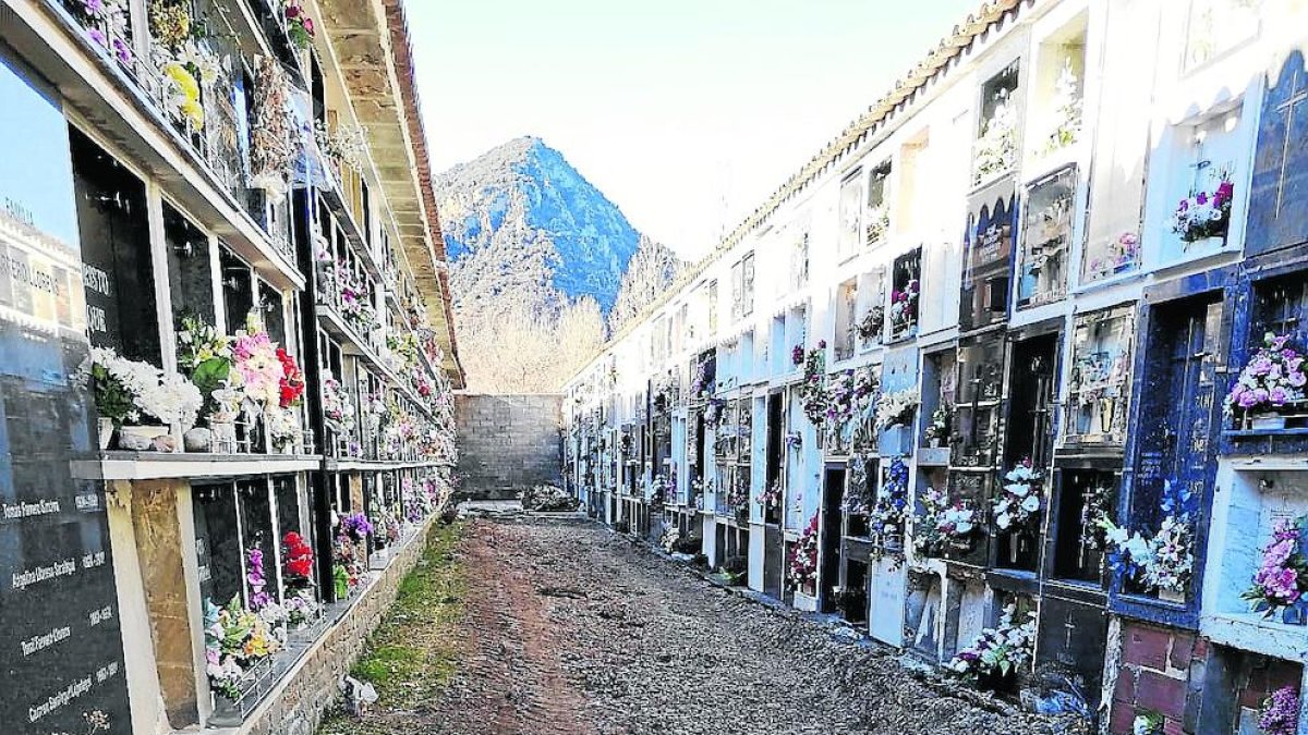 Les obres que s’executen al cementiri del Pont.