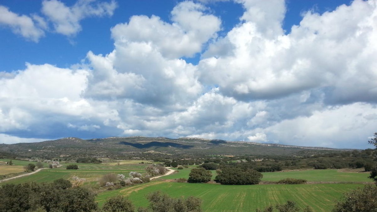 La zona de l’espai natural la Tossa d’Algerri.