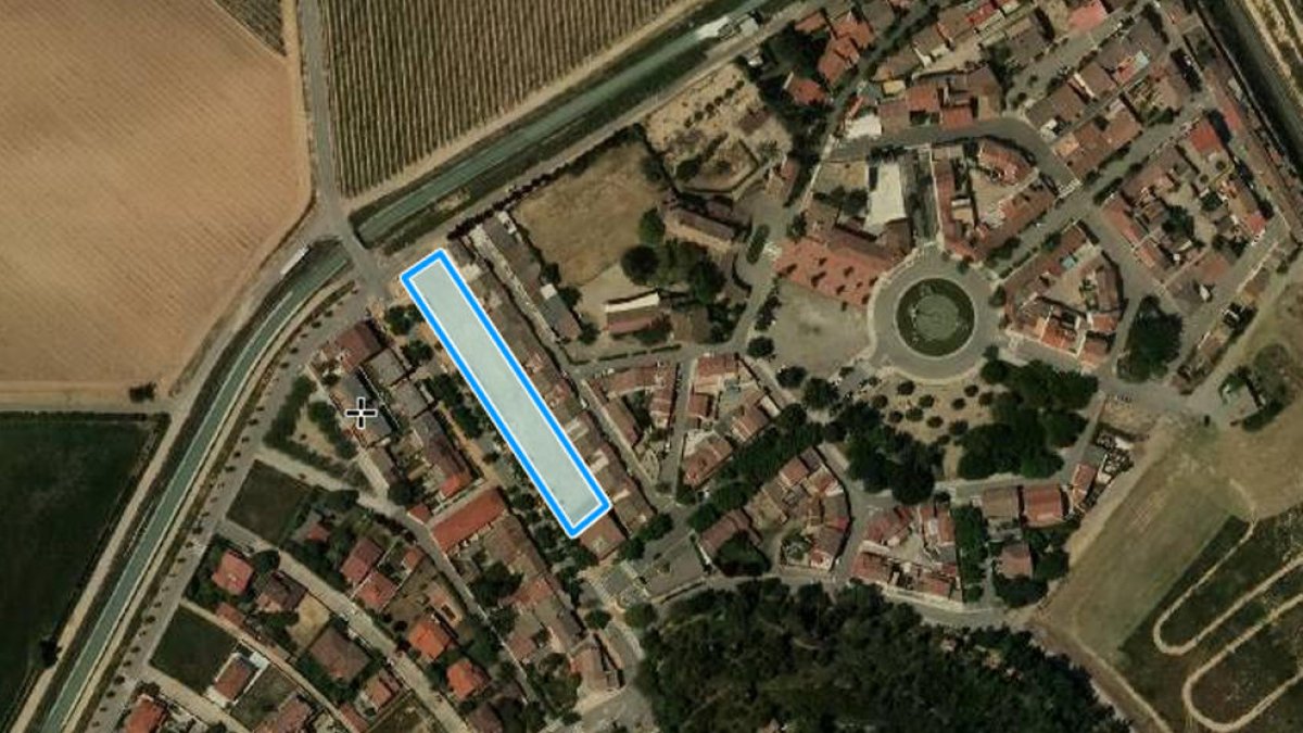 La bodega de Raimat pone en venta parcelas a precio preferente para jóvenes del pueblo