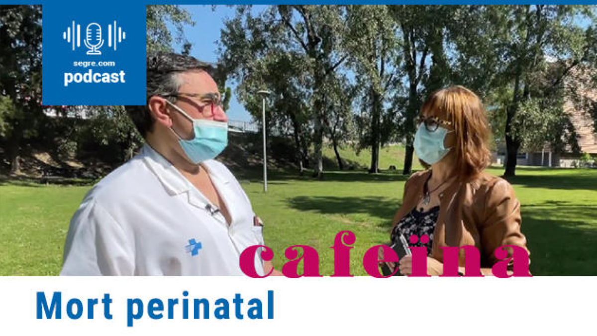 Cafeïna: Mort perinatal