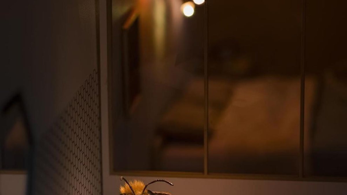 Una ‘influencer’ encantadora