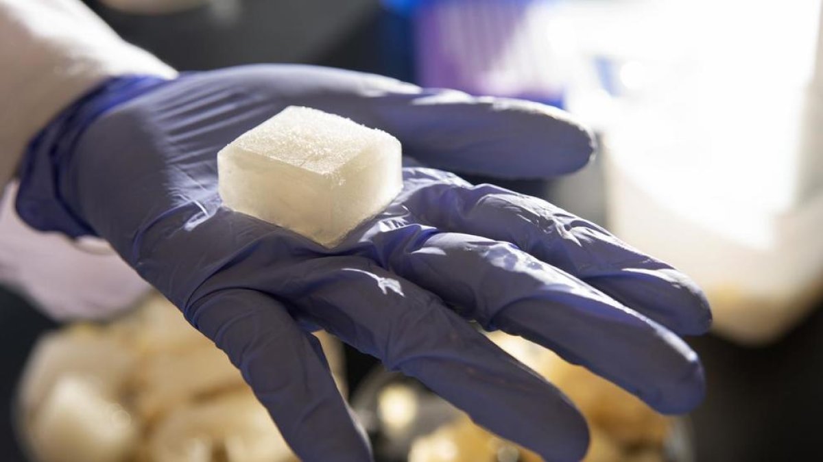 Investigadores desarrollan cubitos de hielo reutilizables y que no se derriten