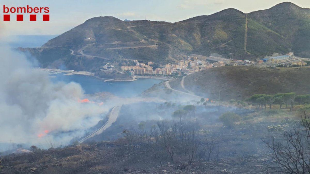 Imagen de la cola del incendio del sábado.
