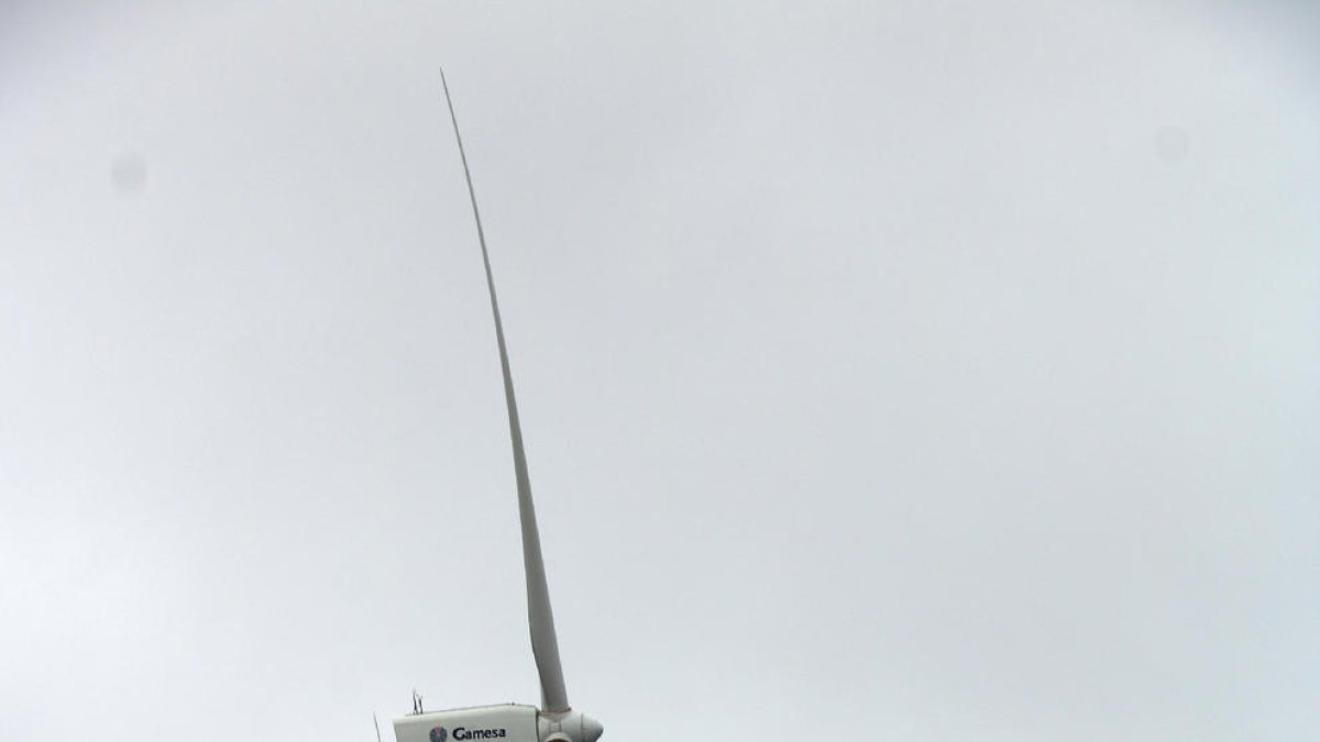 Imagen reciente de molinos en funcionamiento en la Segarra.