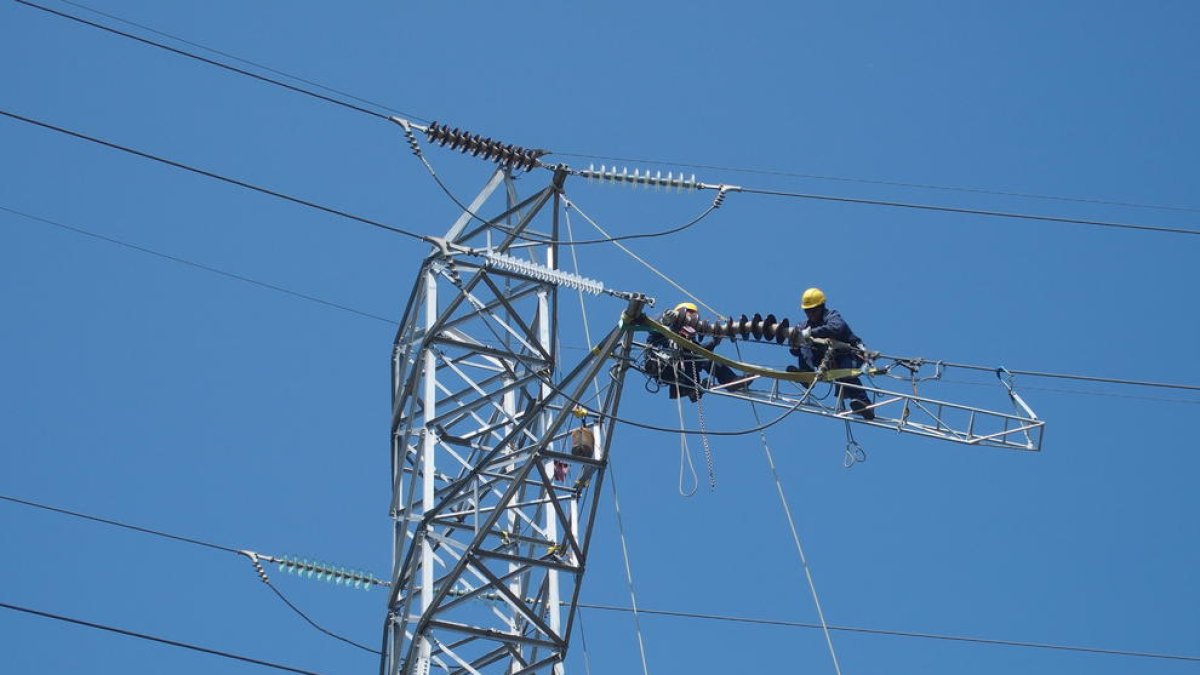 Operaris treballant en una línia d’alta tensió d’Endesa.