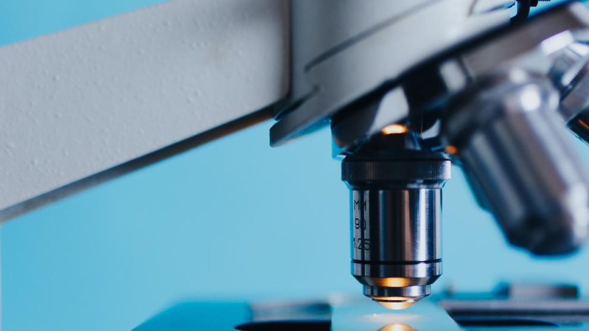 Lleida combat el coronavirus