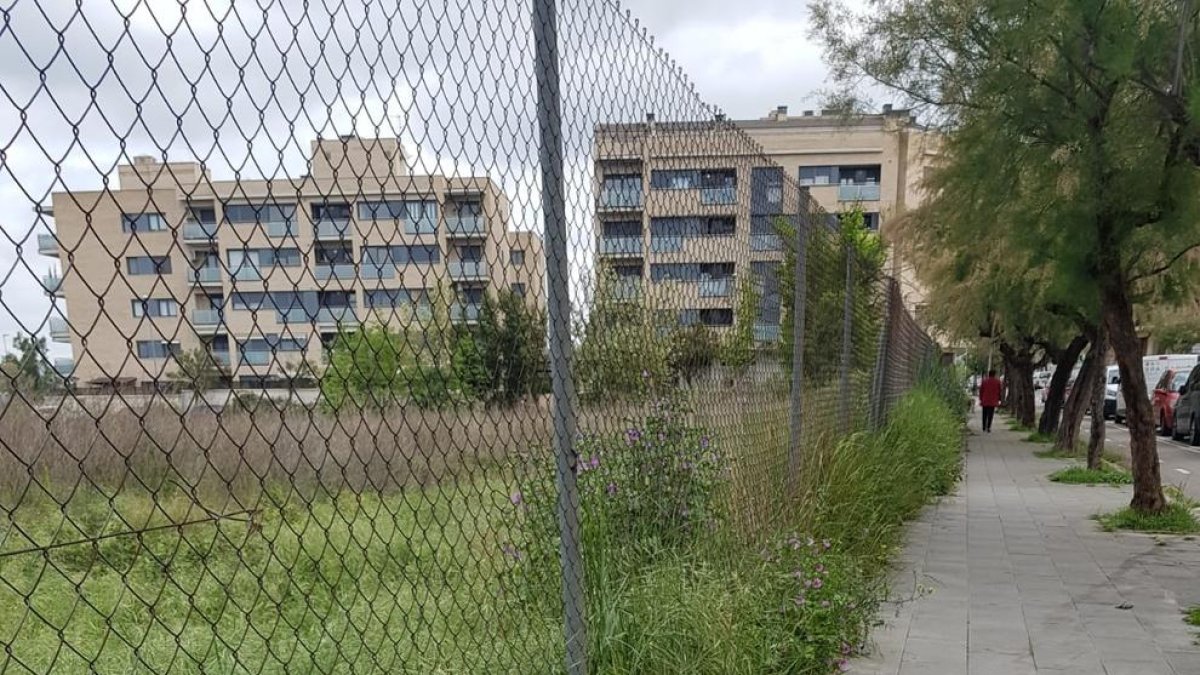 Imagen de la calle del Palauet ayer por la mañana.