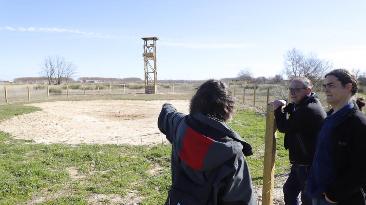 La millora dels Aiguamolls de Rufea es presentarà amb una festa pel Dia de l'Aigua
