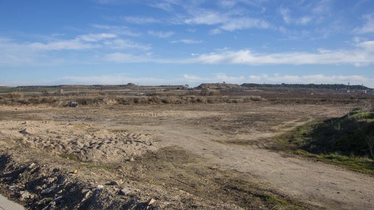 Zona en la que se ubicará el parque botánico.