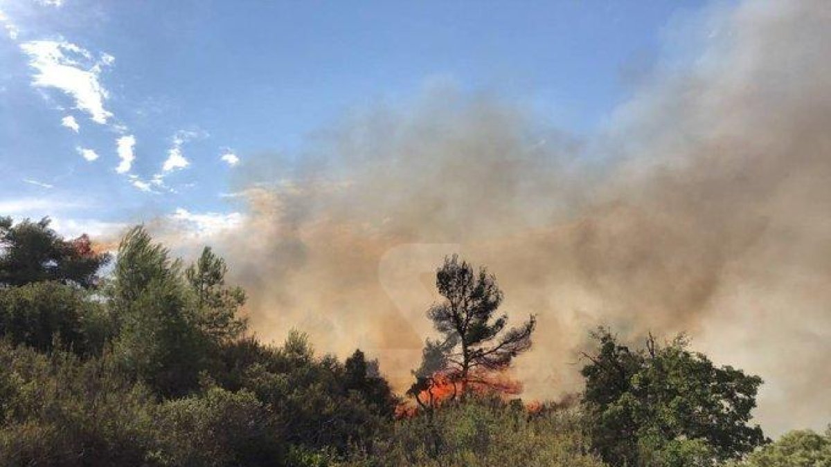 Els bombers treballen en un incendi de vegetació a L'Albagés
