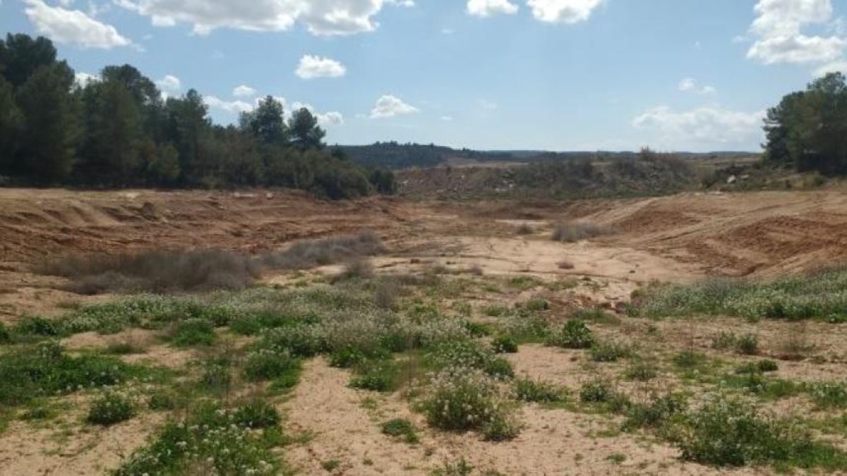 La zona cuyo relieve se aprovechará para construir una balsa de más de 2.700 metros cuadrados.