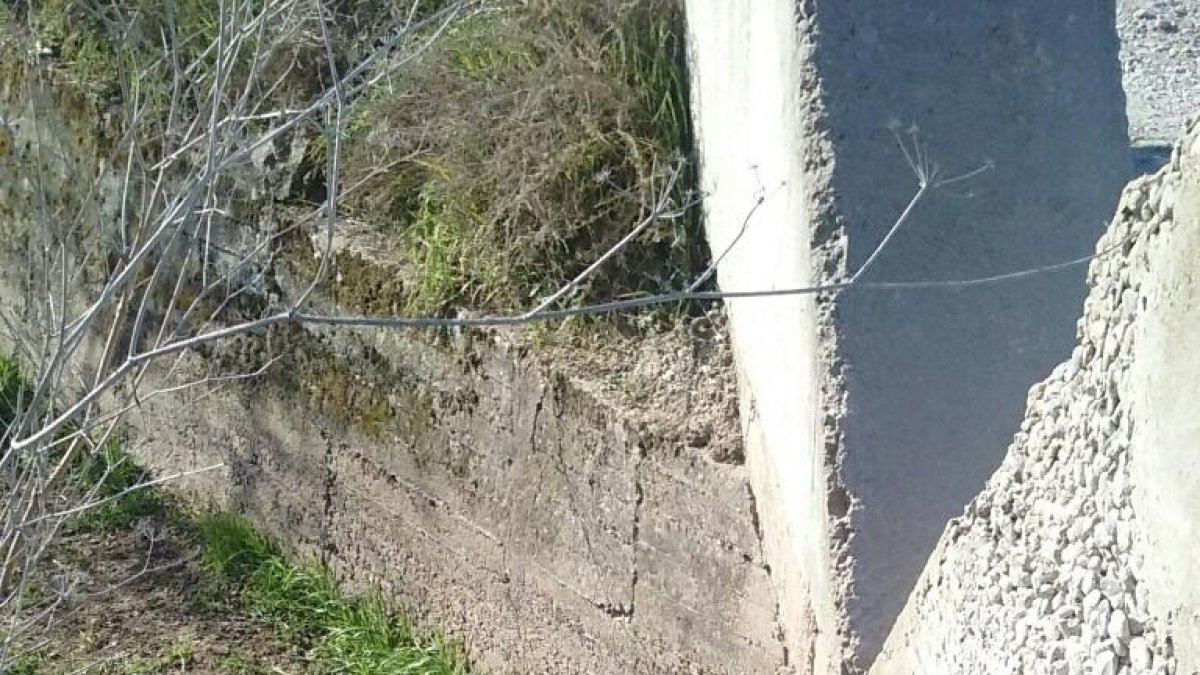 Rescaten un porc vietnamita del canal a Tàrrega