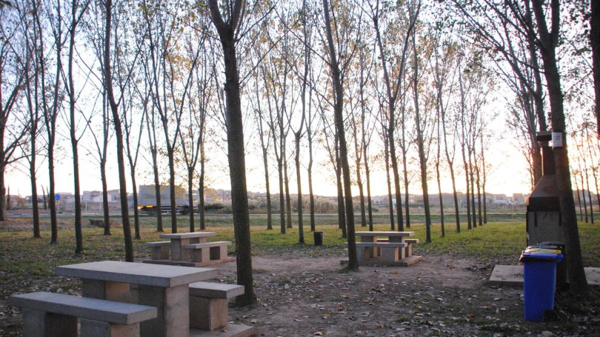 Los Mossos sorprendieron el miércoles a varias personas en una barbacoa en esta zona de Linyola.