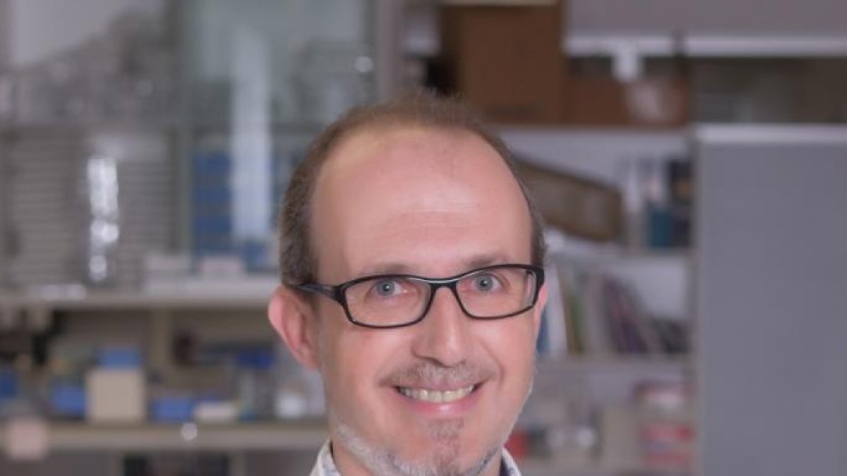 Albert Lecube, jefe de Endocrinología y Nutrición del Arnau.