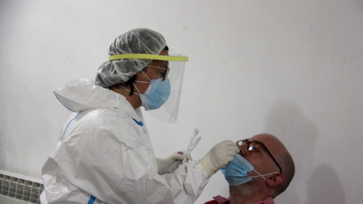 Un profesional sanitario haciendo una PCR a una persona en el marco del cribado masivo llevado a cabo en el Centro Cívico el Passeig de la Seu d'Urgell.