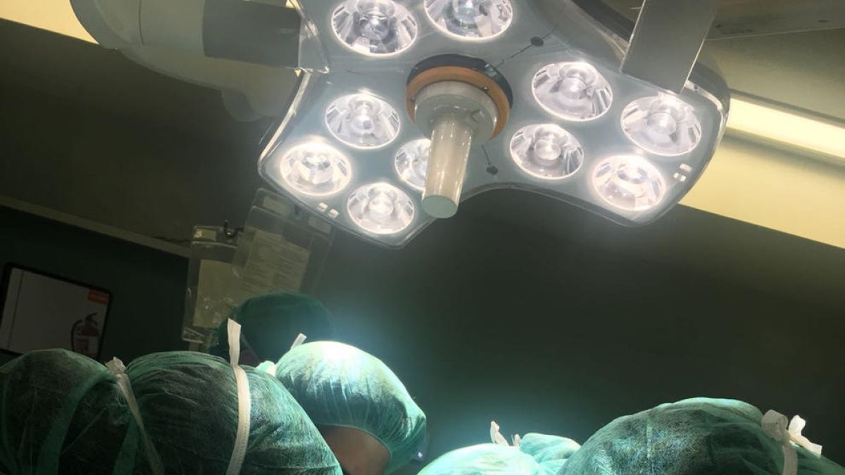 A la izquierda un momento de una extracción de un órgano y a la derecha, el equipo formado por Lluís Servià, Mar Miralbés, Neus Montserrat y Mariona Badia.