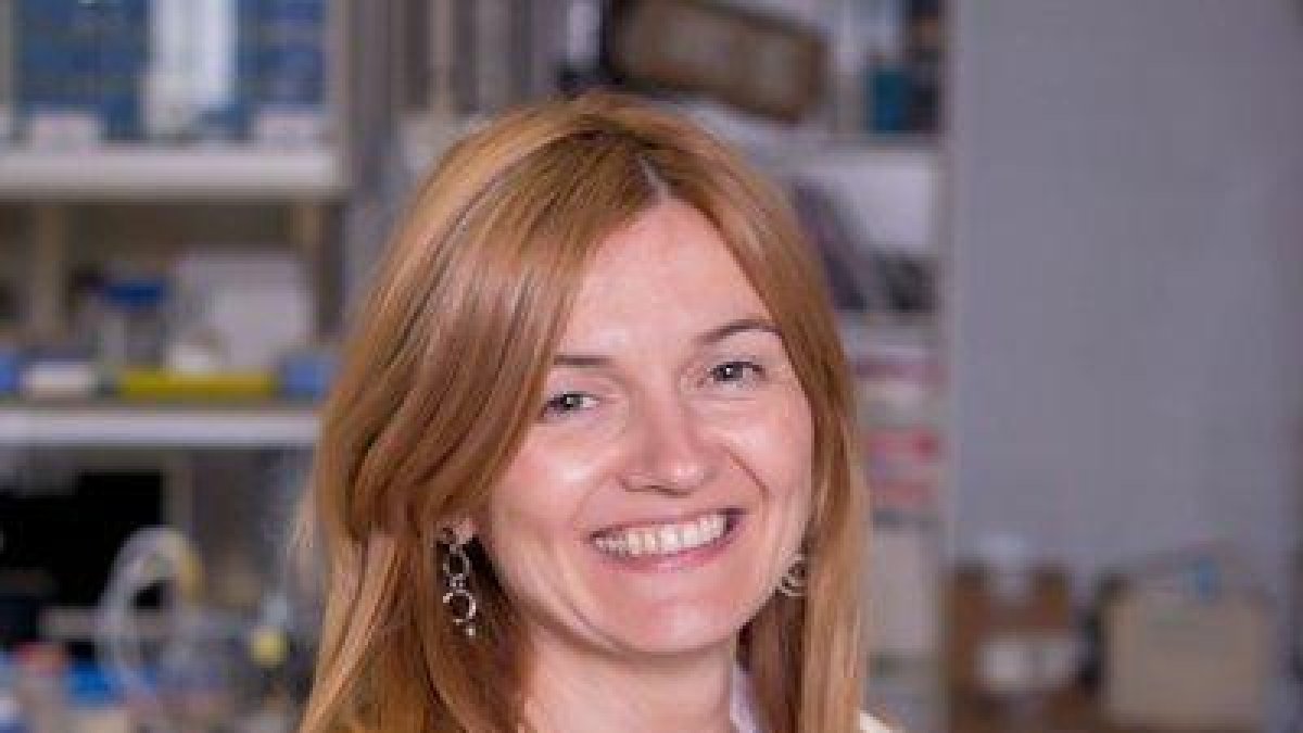 La presidenta del Col·legi d'Infermers: “Cal poder fer tests massius a tota la població”