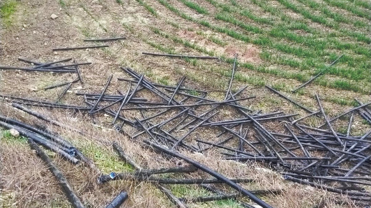 Imatge dels trossos de cable robat ahir a Llorenç.
