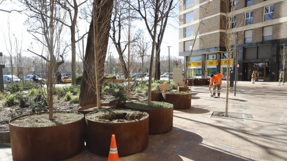 Varias jardineras amontonadas en la plaza Pare Sanahüja, ayer.