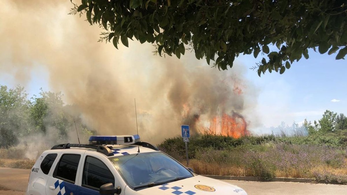 Un incendio calcina 500 metros de matojos en un solar de La Bordeta
