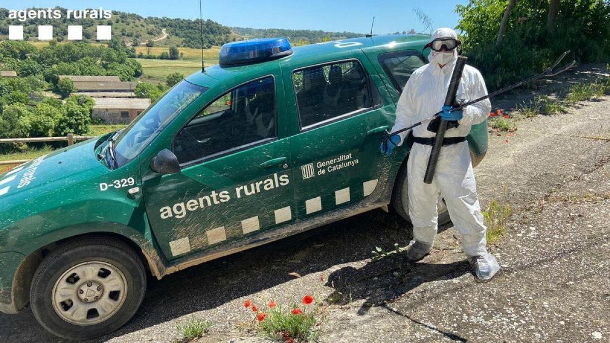 Uno de los agentes equipado con s los elementos de protección.