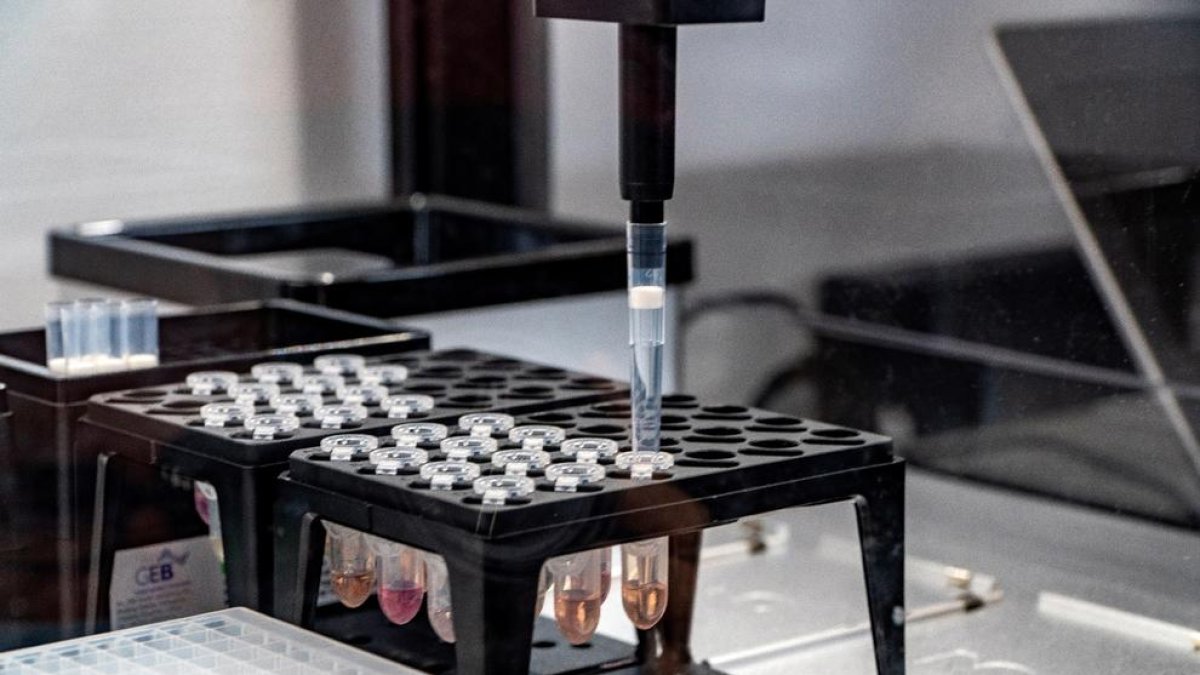 Imatge d’una estació robotitzada de proves PCR.