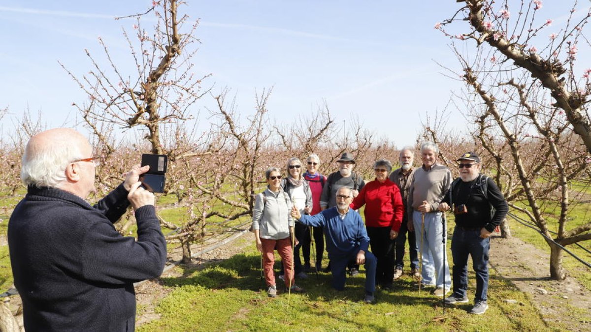 Imatge d’un grup arribat des d’Arbúcies que ahir va recórrer els camps florits d’Aitona.
