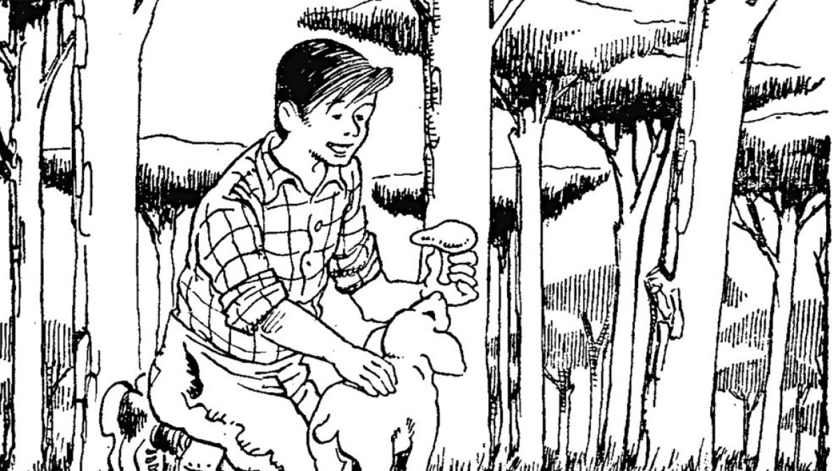 Dues bones lliçons - Rovelló