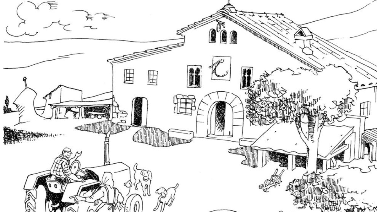 Rovelló o el sentit de la vida