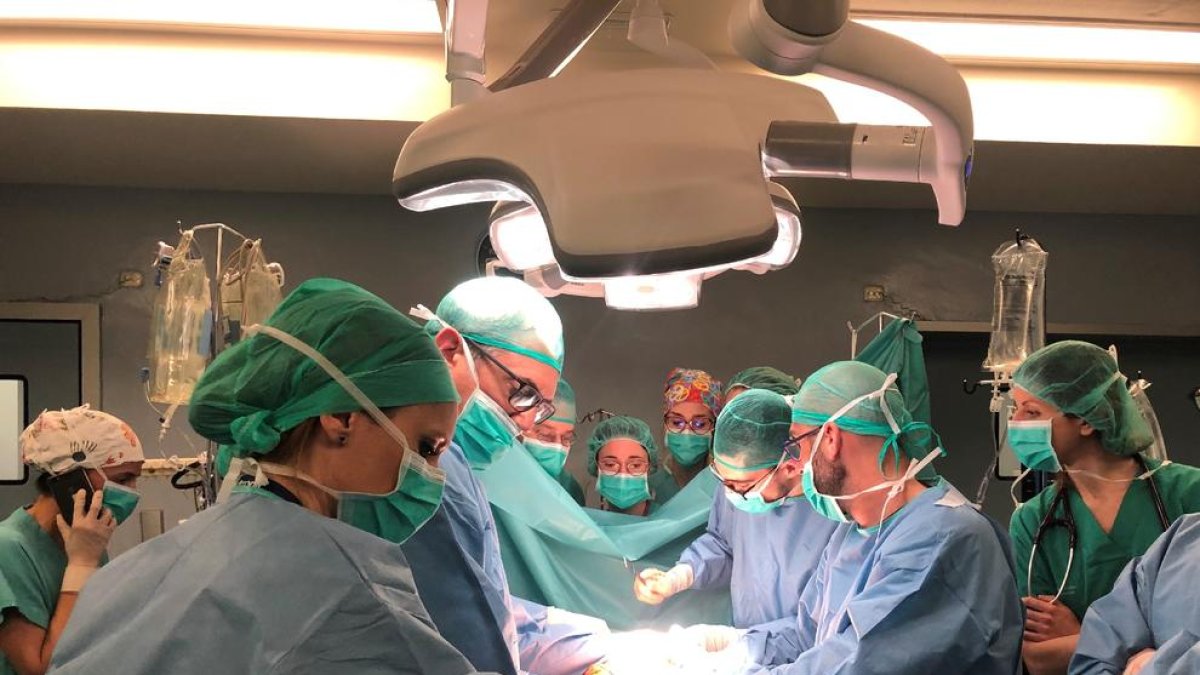 Una intervenció de l’equip de trasplantaments de l’Arnau.