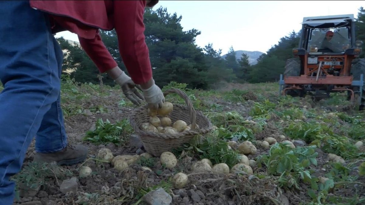 Una de les imatges que es podran veure al documental.